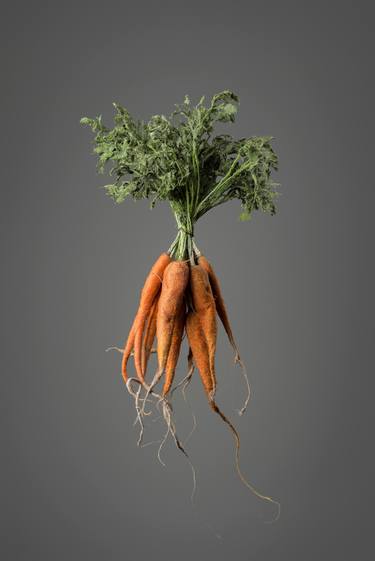 Stitched Carrots thumb
