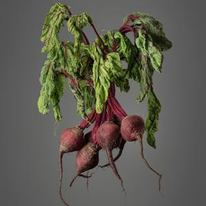 New York November 2017 Artists