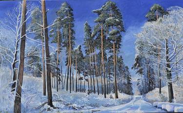 Pine forest in winter thumb