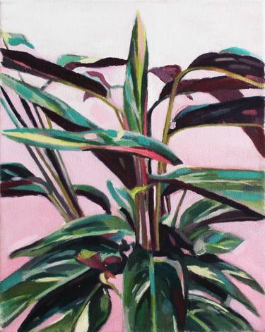 Original Botanic Paintings by Nadine Bradshaw