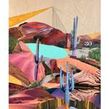 Desert Thirty by Julie Christenberry