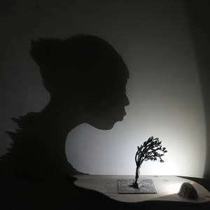 Collection Shadow Sculpture