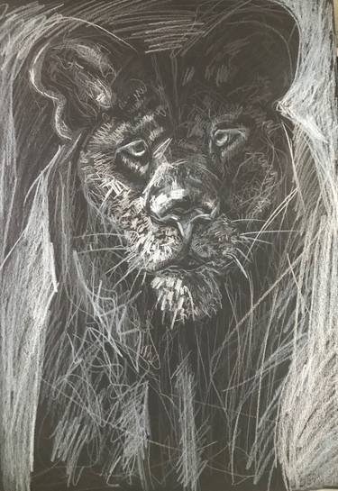 Original Animal Paintings by Vladislava Yakovenko