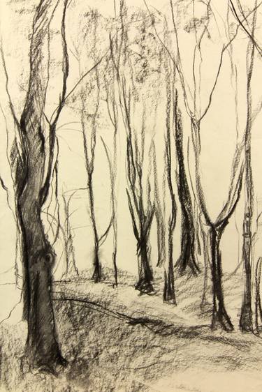 Image result for forest drawings