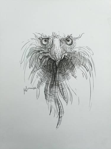 Original Animal Drawings by abinoro akporode collins