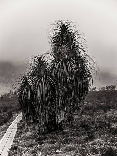 Original Documentary Nature Photography by John Wallace