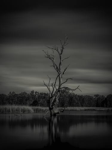 Print of Documentary Landscape Photography by John Wallace