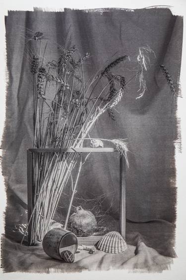 Print of Botanic Printmaking by Georgii Vinogradov