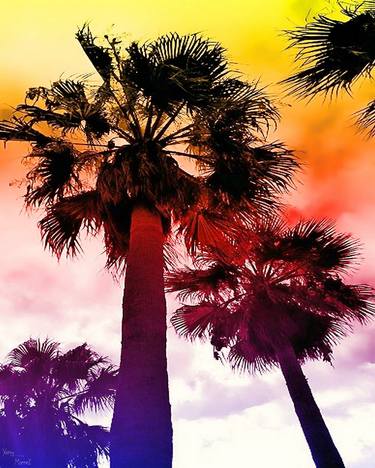 Palm trees under the sun thumb