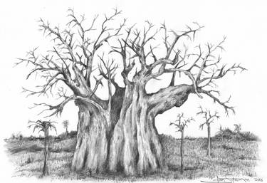 Baobab Tree thumb