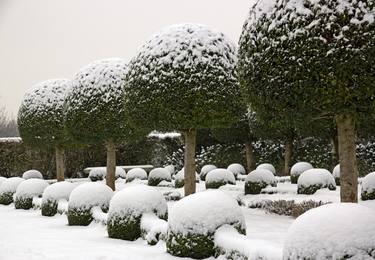 Print of Documentary Garden Photography by Neko quatre vingt douze vl