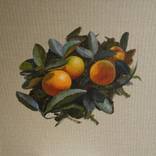 Tangerines by Anastasia Shimshilashvili
