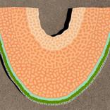 Cantaloupe Wedge by Will Beger
