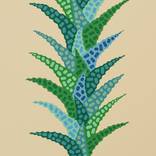 Pineapple Cabello by Will Beger