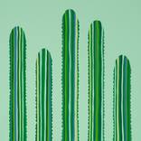 Verde Y Verde by Will Beger