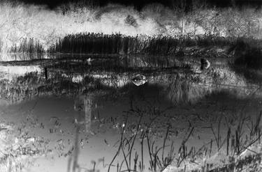 Landscape, Limited Edition of (10) + 1 Artist's Proof thumb