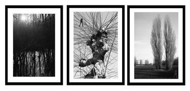 Tryptic, I had a dream and I talked with a tree, 3 photographs thumb
