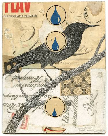 Original Dada Nature Collage by Eduardo Recife