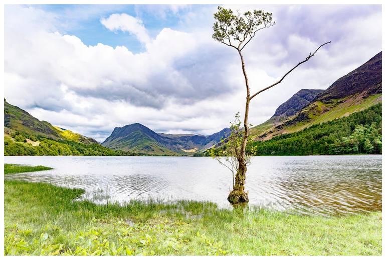 Original Landscape Photography by Mike Mchugh | Photorealism Art on Paper | The 'Lonely Tree' Buttermere - English Lake District - PRINT ONLY