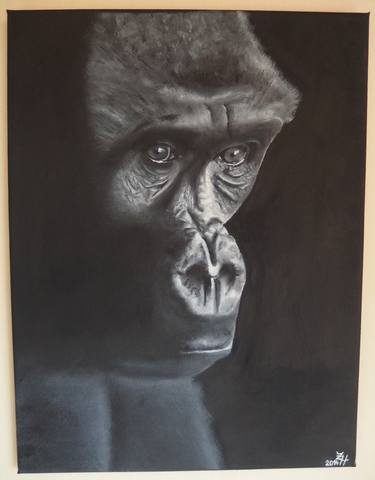 Black Africa - gorilla portrait thumb