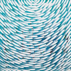 Collection SM Under $3,000