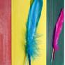Each pen points to a certain hour of time, while it is a symbol of the spirit of life, soul, ease of transition from one state to another.

The painting was painted during the art residence at the Andy Warhol Museum in Medzilaborce, Slovakia


Bird feather - installation