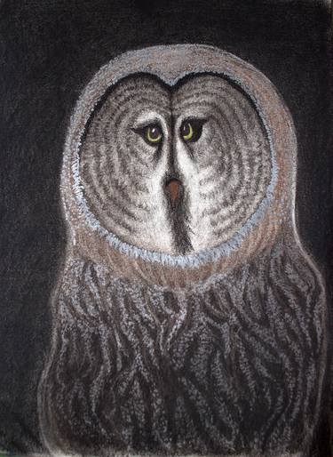 Night Owl thumb