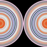 HB #C1002X0205 - Twins - Metal Print on Aluminium - Limited Edition of 5 by Heinz Bucher