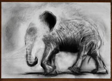 Original Expressionism Animal Drawings by Pierre Fauret