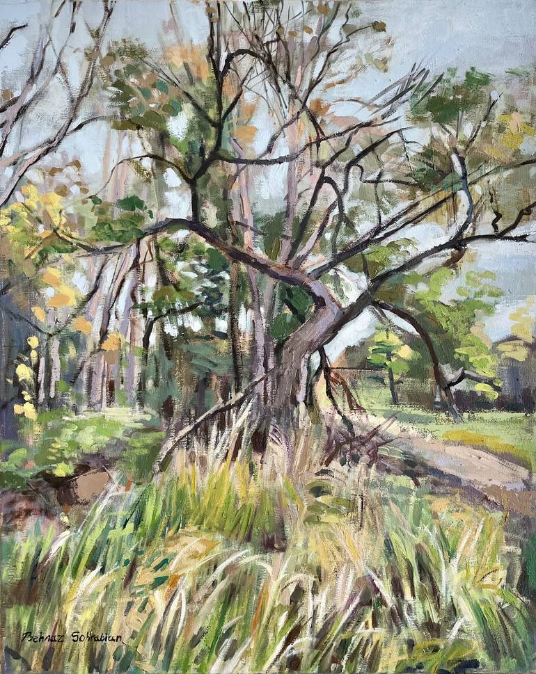 Original Expressionism Landscape Paintings by Behnaz Sohrabian