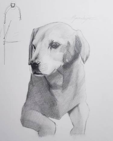 Puppy portrait - Demonstration drawing thumb