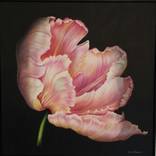Pink Parrot II by Beatrix Frederiks