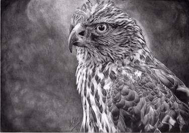 Original Fine Art Animal Drawings by Alfred Kamanda