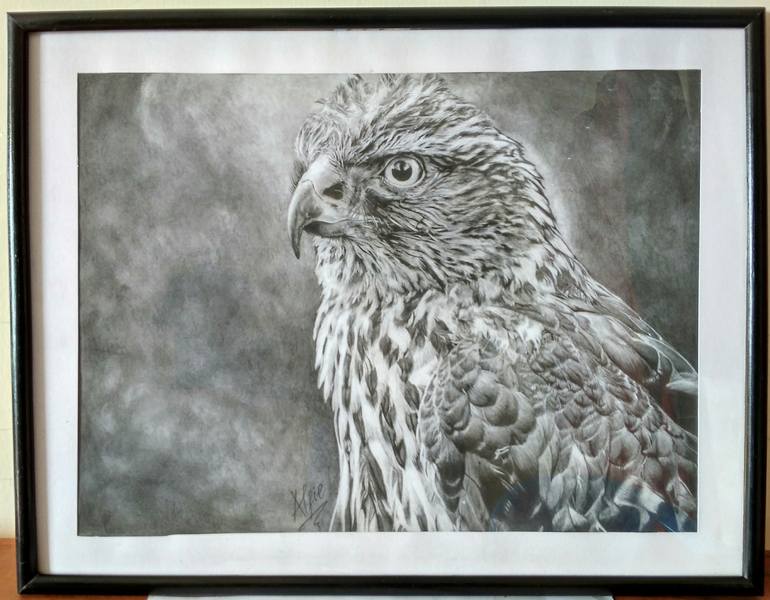 Original Fine Art Animal Drawing by Alfred Kamanda