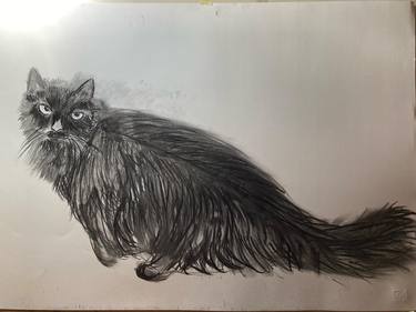 Original Animal Drawings by Maria Giovanna Ambrosone