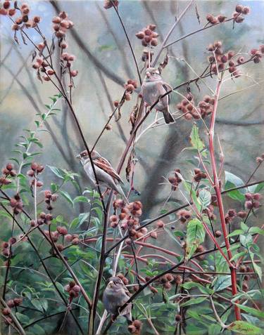 Saatchi Art Artist Anne Smythe; Paintings, “Sparrows and Burrs” #art