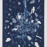 Collection Photography for $500 & Under