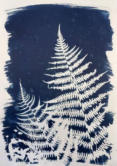 Cyanotype - Limited Edition of 1 thumb