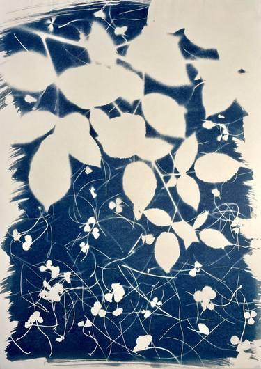 Cyanotype - Limited Edition of 1 thumb
