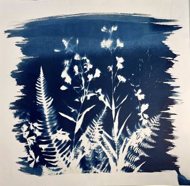 Cyanotype - Limited Edition of 1 thumb