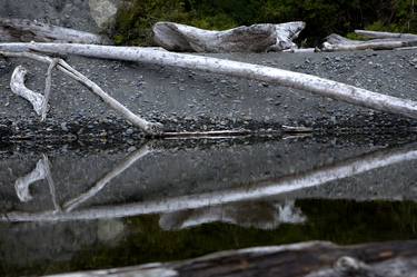 Driftwood Reflection thumb