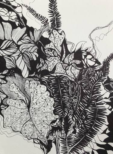 Print of Abstract Botanic Drawings by Kimchi Hoang