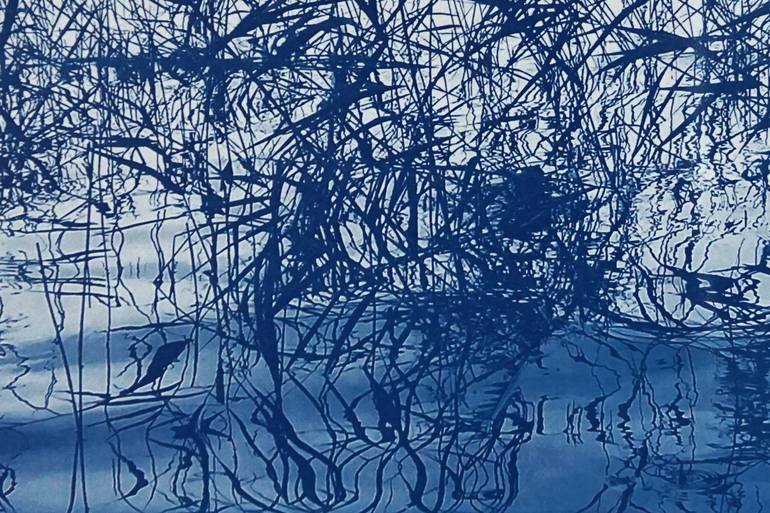 Original Landscape Printmaking by Kind of Cyan