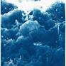 This is an exclusive handprinted limited edition cyanotype.
"Tempestuous Tidal in Blue" is an original cyanotype diptych portraying the tidal behavior during a storm.
Details:
+ Title: Tempestuous Tidal in Blue
+ Year: 2020
+ Edition Size: 100
+ Stamped and Certificate of Authenticity provided
+ Measurements : 100x140 cm (40 x 55.2 in.) Each paper measures 70x100 cm (28x 40 in.) each, a standard frame size
+ All cyanotype prints are made on high-quality Italian watercolor paper
WHAT IS A CYANOTYPE?
The cyanotype (a.k.a. sun-print) process is one of the oldest in the history of photography, dating back to the 1840's.
Cyanotypes were then made famous by Anna Atkins, considered the first female photographer. Inspired by nature, we feel the need to look back at a craft that is handmade, analogue, and using an all-natural light source: the sun.
Our cyanotypes are made by coating high-quality Italian watercolor paper with a light-sensitive emulsion. We then expose it in direct sunlight for several minutes using a photo negative to get the best image quality. Finally, the print is washed and fixed with water to stop the reaction and prevent fading.
What you get is an amazing, royal blue image, with absolutely no ink involved. And since each print is handmade, tones will give gorgeous, subtle variations. The beauty of cyanotypes is that each print is absolutely unique.