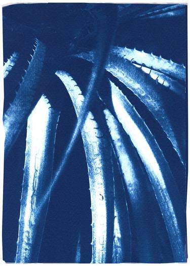 Jurassic Aloe Leaves - Limited Edition of 100 thumb