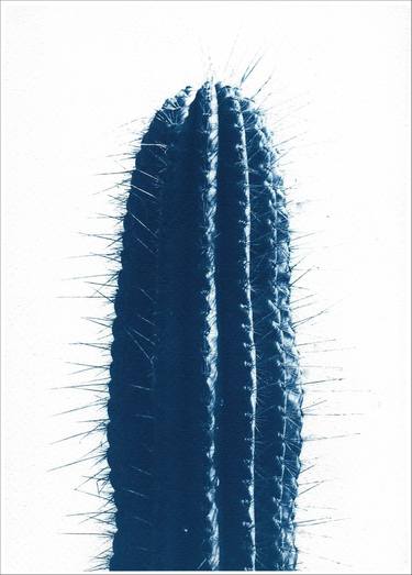 Blue Upright Desert Cactus - Limited Edition of 100 thumb