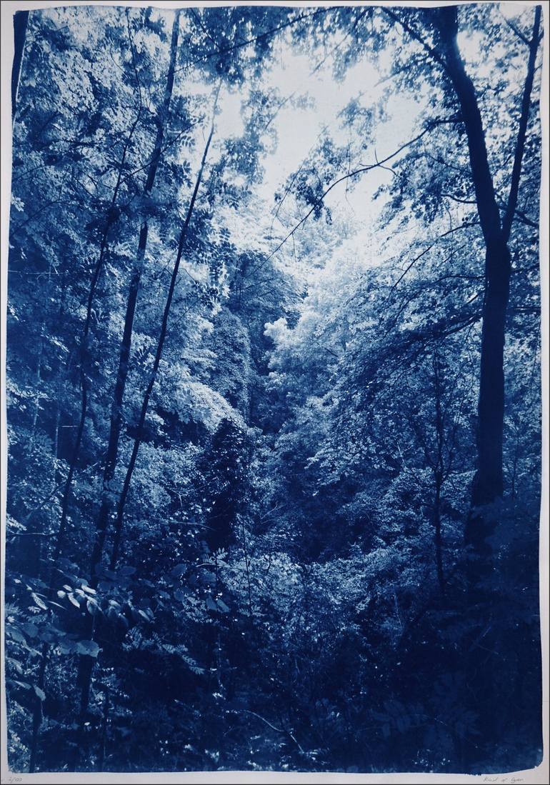 Original Figurative Landscape Printmaking by Kind Of Cyan