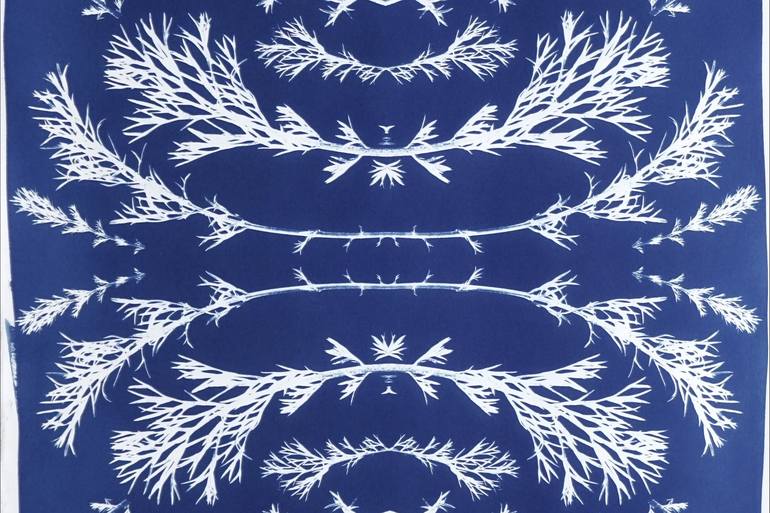 Original Art Deco Floral Printmaking by Kind Of Cyan