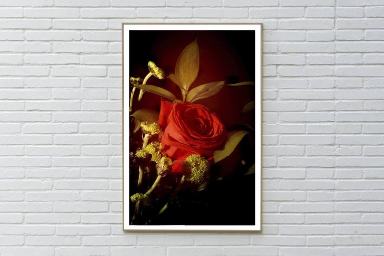 Red Rose in Vintage Light - Limited Edition of 100 Photography by Kind ...