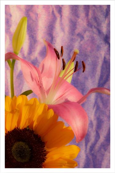 Nineties Sunflower and Lily - Limited Edition of 100 thumb